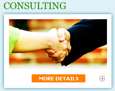 consulting services